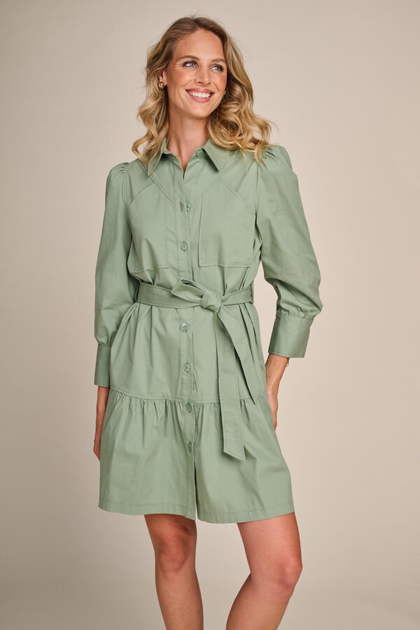 Brawley  Dress - Swamp