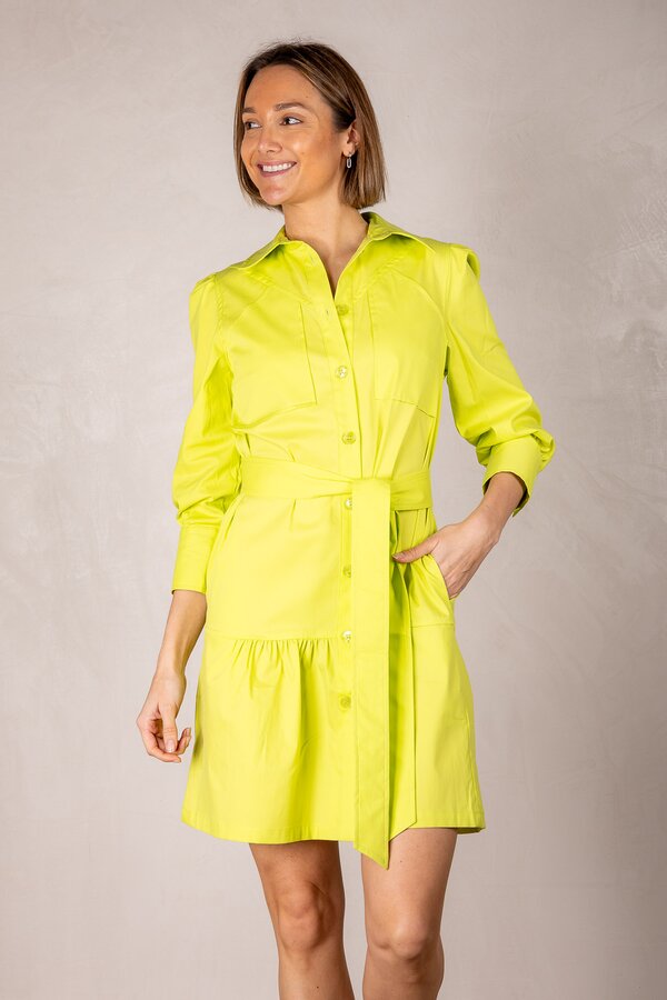 Brawley  Dress - Acid Grass