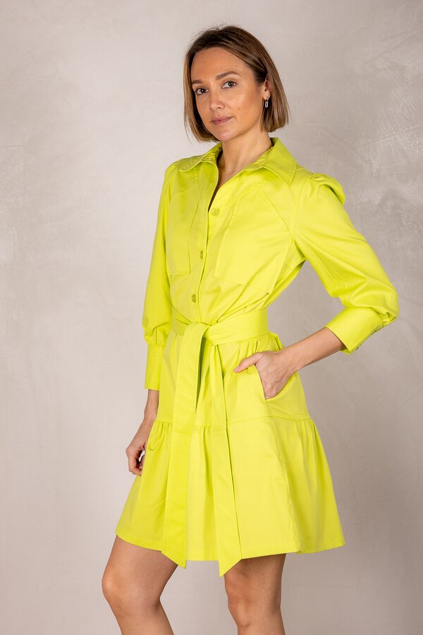 Brawley  Dress - Acid Grass