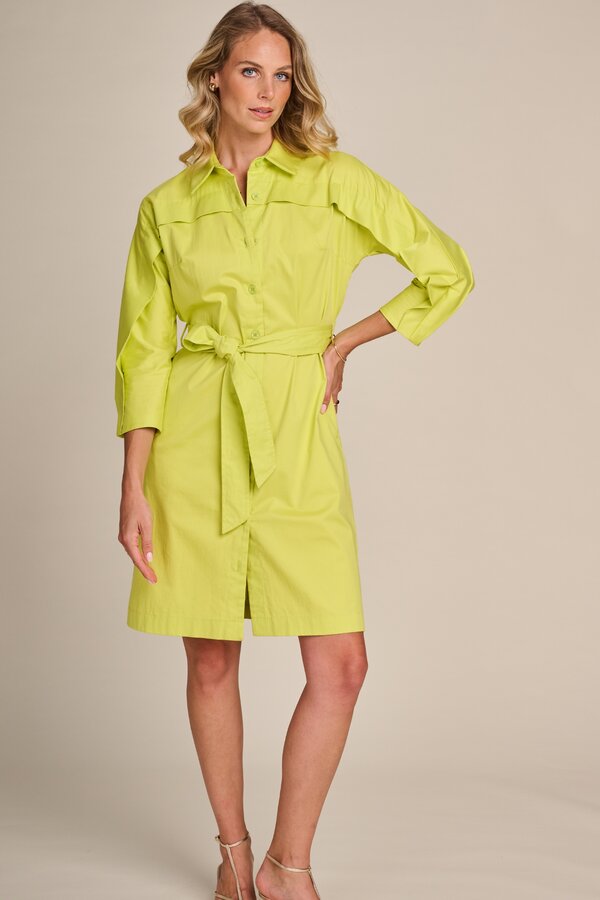 Zaferia Dress - Acid Grass