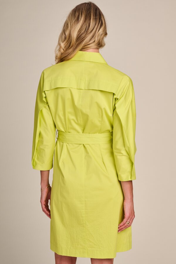 Zaferia Dress - Acid Grass